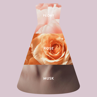 Jasmine Rose notes
