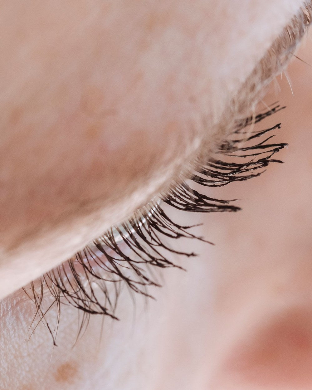 eye macro